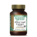Olive Leaf Extract