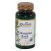 Astragalus Root