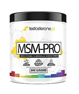 MSM-PRO 300g (msm + boswellia + lizyna + wit C)