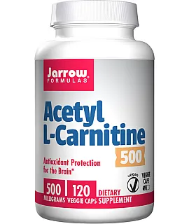 Acetyl L-Carnitine