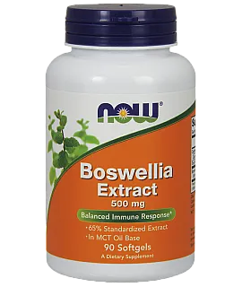 Boswellia Extract (500mg 65%)