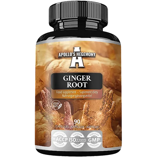 Ginger Root Extract 5% 500mg (imbir)