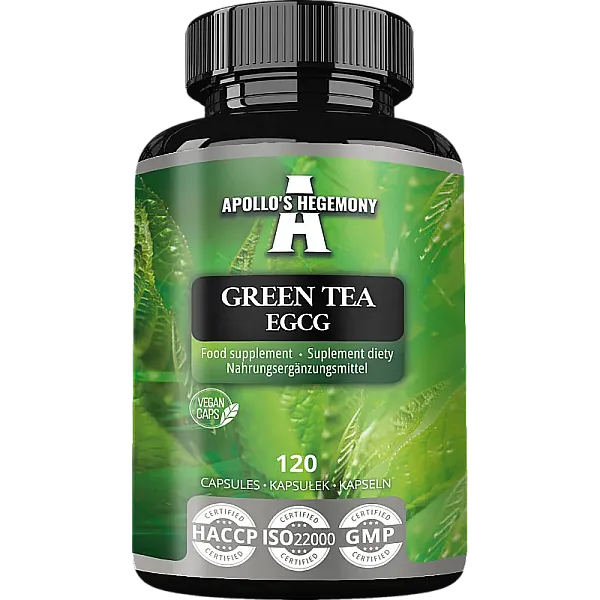 Green Tea 50% EGCG zielona herbata
