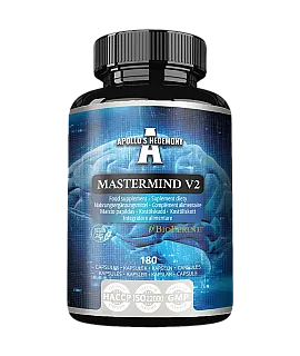 Mastermind V2