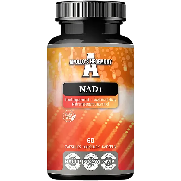 NAD+ (Dinukleotyd Nikotynoamidoadeninowy)