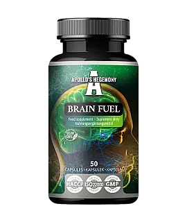 Brain Fuel V3
