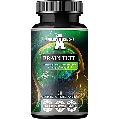 Brain Fuel V3