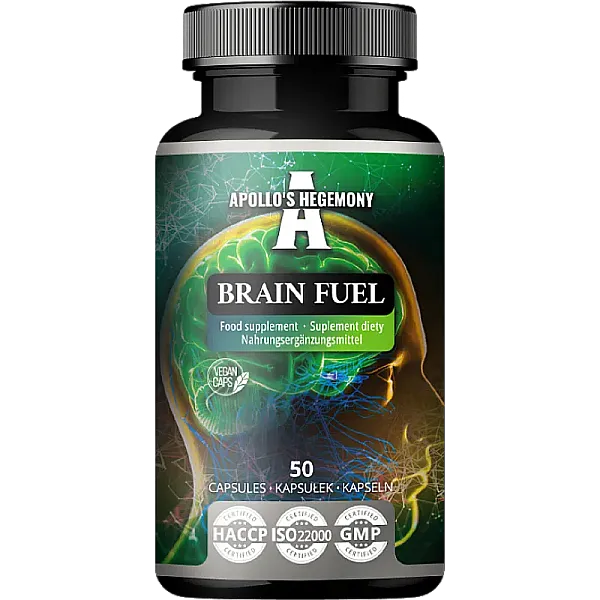 Brain Fuel V3