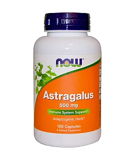 Astragalus 500mg
