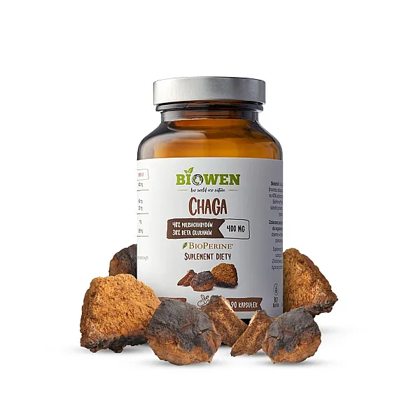Chaga