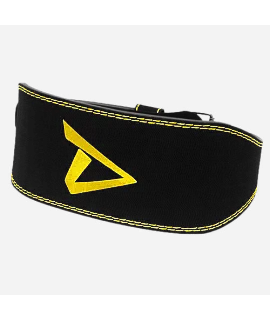 Premium Lifting Belt