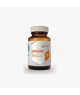 Ginger Ekstrakt