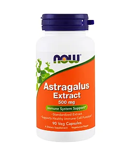 Astragalus Extract 500mg (standarized)