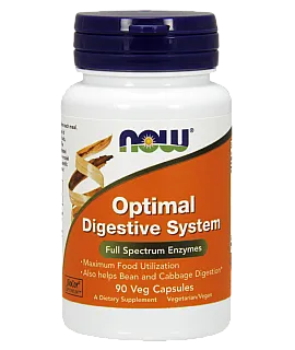 Optimal Digestive System