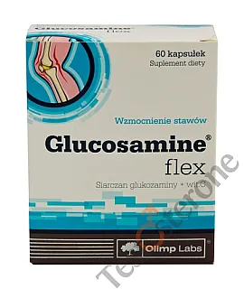 Glucosamine Flex 500