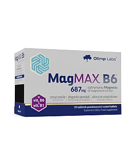 MagMAX B6