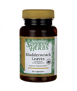 Bladderwrack - Morszczyn