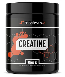 Testosterone.pl Creatine (kreatyna)