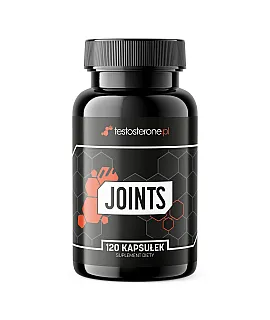 Testosterone.pl Joints (Glukozamina+ MSM+ Chondroityna+ Kolagen rybi+ Kwas Hialur)