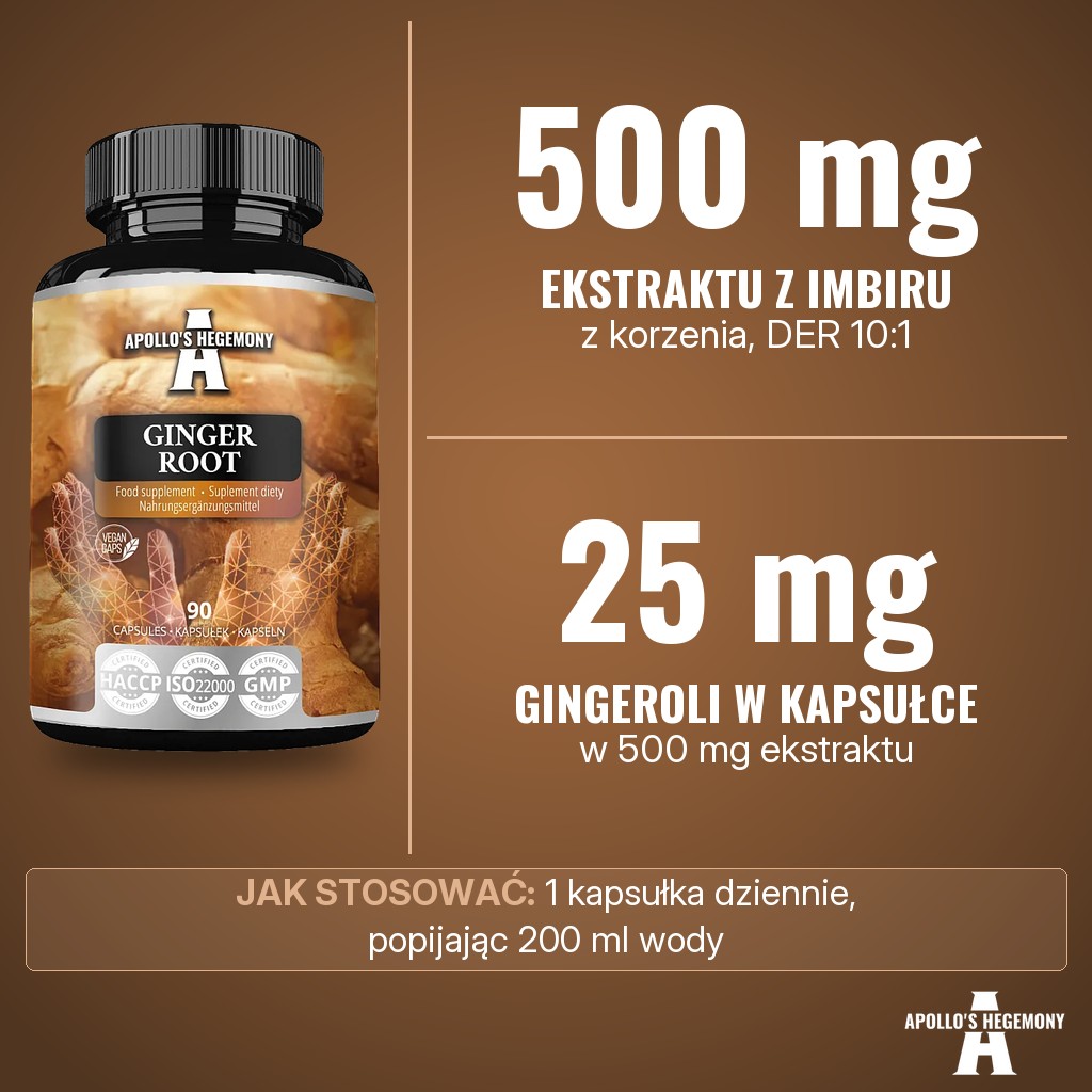 Apollos Hegemony Ginger Root 500mg: 500 mg ekstraktu DER 10:1 z korzenia imbiru w kapsułce, w tym 25 mg gingeroli