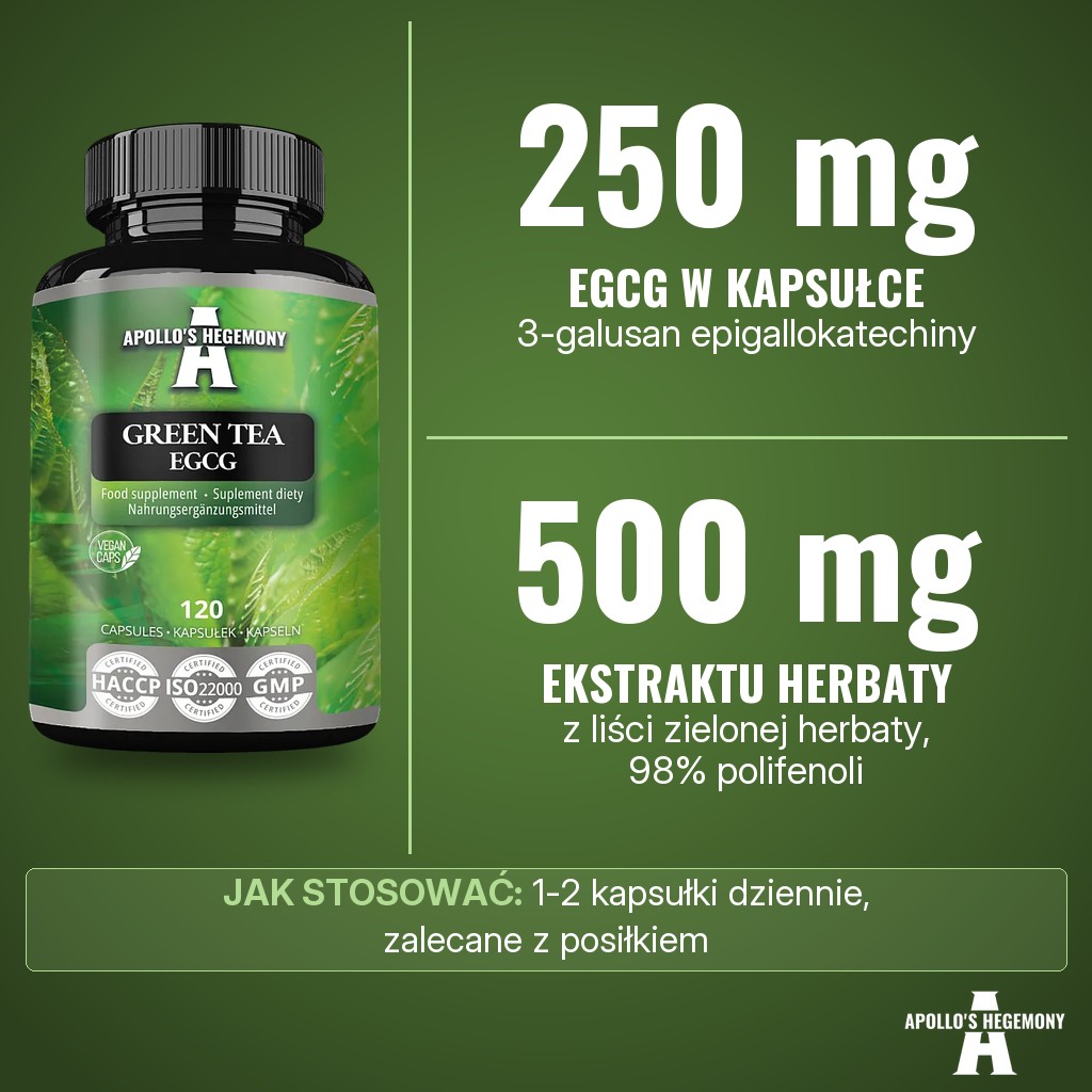 Apollos Hegemony Green Tea EGCG: 250 mg EGCG (3-galusanu epigallokatechiny) w kapsułce z 500 mg ekstraktu z liści zielonej herbaty o zawartości 98% polifenoli