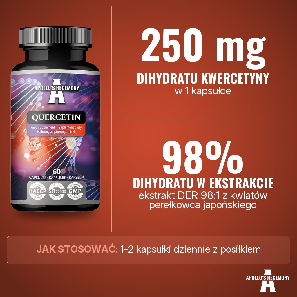 Apollos Hegemony Quercetin: 250 mg dihydratu kwercetyny w kapsułce z ekstraktu DER 98:1 z kwiatów perełkowca japońskiego (Sophora japonica) o zawartości 98% dihydratu kwercetyny