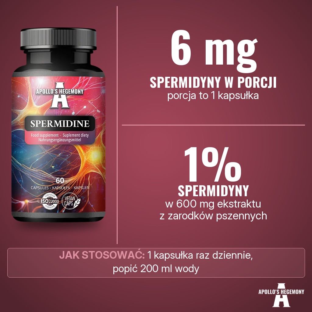 Apollos Hegemony Spermidine: 6 mg spermidyny w porcji z 600 mg ekstraktu z zarodków pszennych (1% spermidyny)