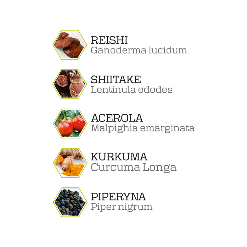 Solve Labs Myco Defend: grafika składników