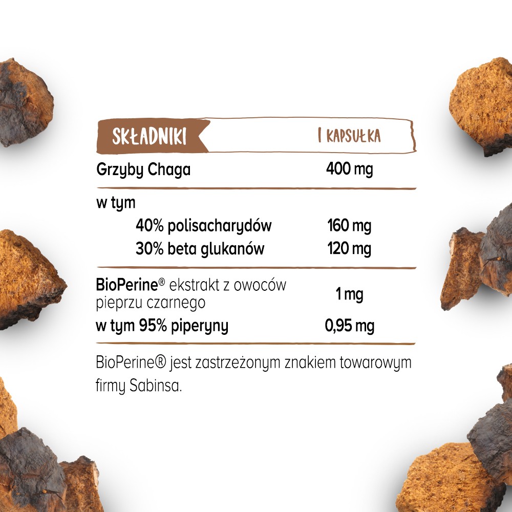 Skład Biowen Chaga
