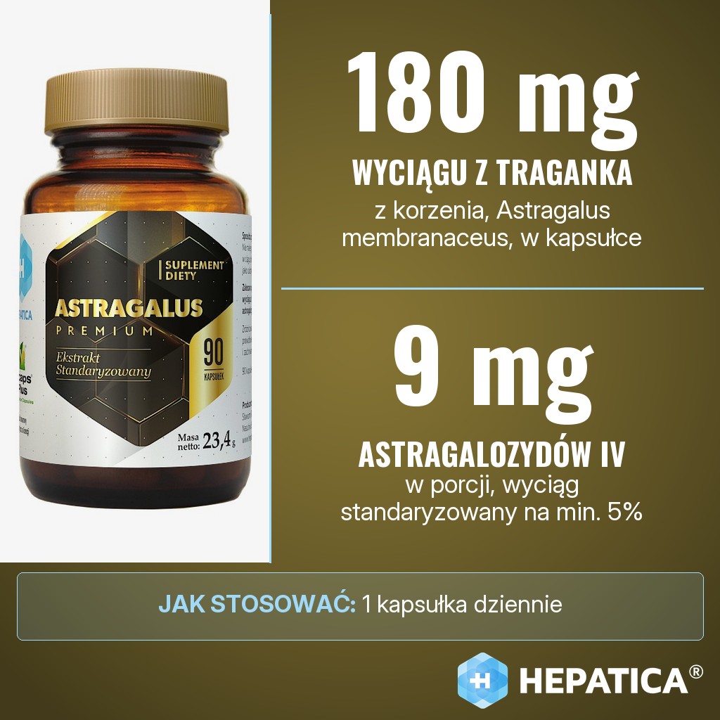 Hepatica Astragalus Premium: 180 mg wyciągu z korzenia traganka błoniastego (Astragalus membranaceus) w kapsułce, w tym 9 mg astragalozydów IV
