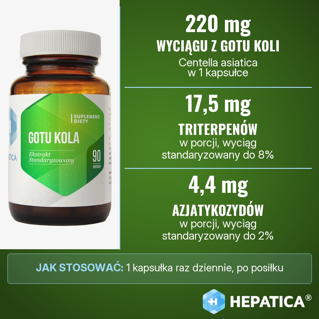 Hepatica Gotu Kola: 220 mg standaryzowanego wyciągu z gotu koli (Centella asiatica) w kapsułce, w tym 17,5 mg triterpenów i 4,4 mg azjatykozydów