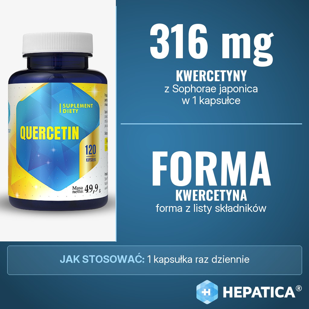 Hepatica Quercetin: 316 mg kwercetyny (Sophorae japonica) w kapsułce