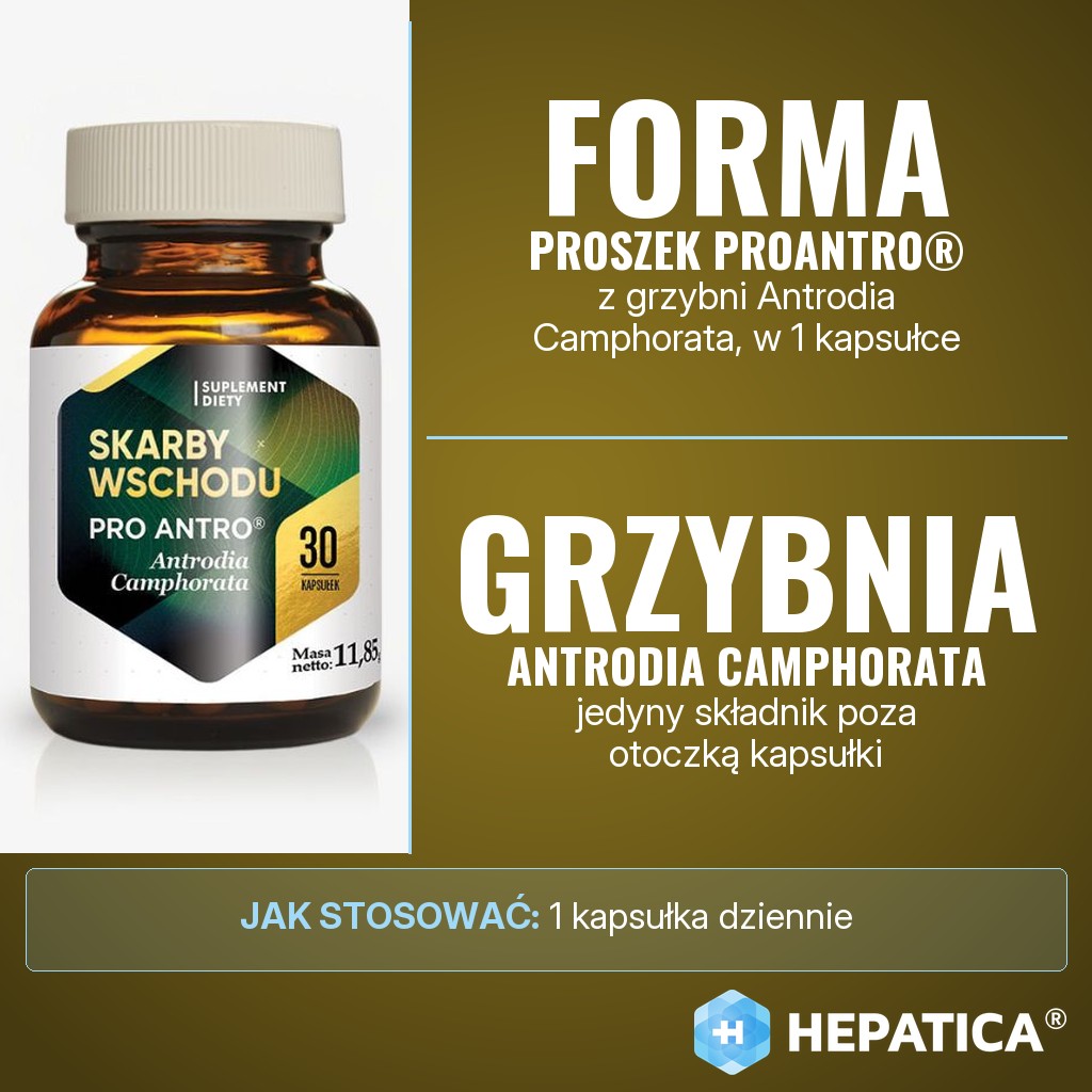Hepatica Skarby Wschodu Antrodia Camphorata: ProAntro®, proszek z grzybni Antrodia Camphorata, 1 kapsułka dziennie