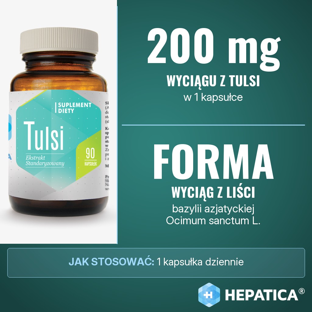 Hepatica Tulsi: 200 mg standaryzowanego wyciągu z liści tulsi, bazylii azjatyckiej (Ocimum sanctum L.), w kapsułce