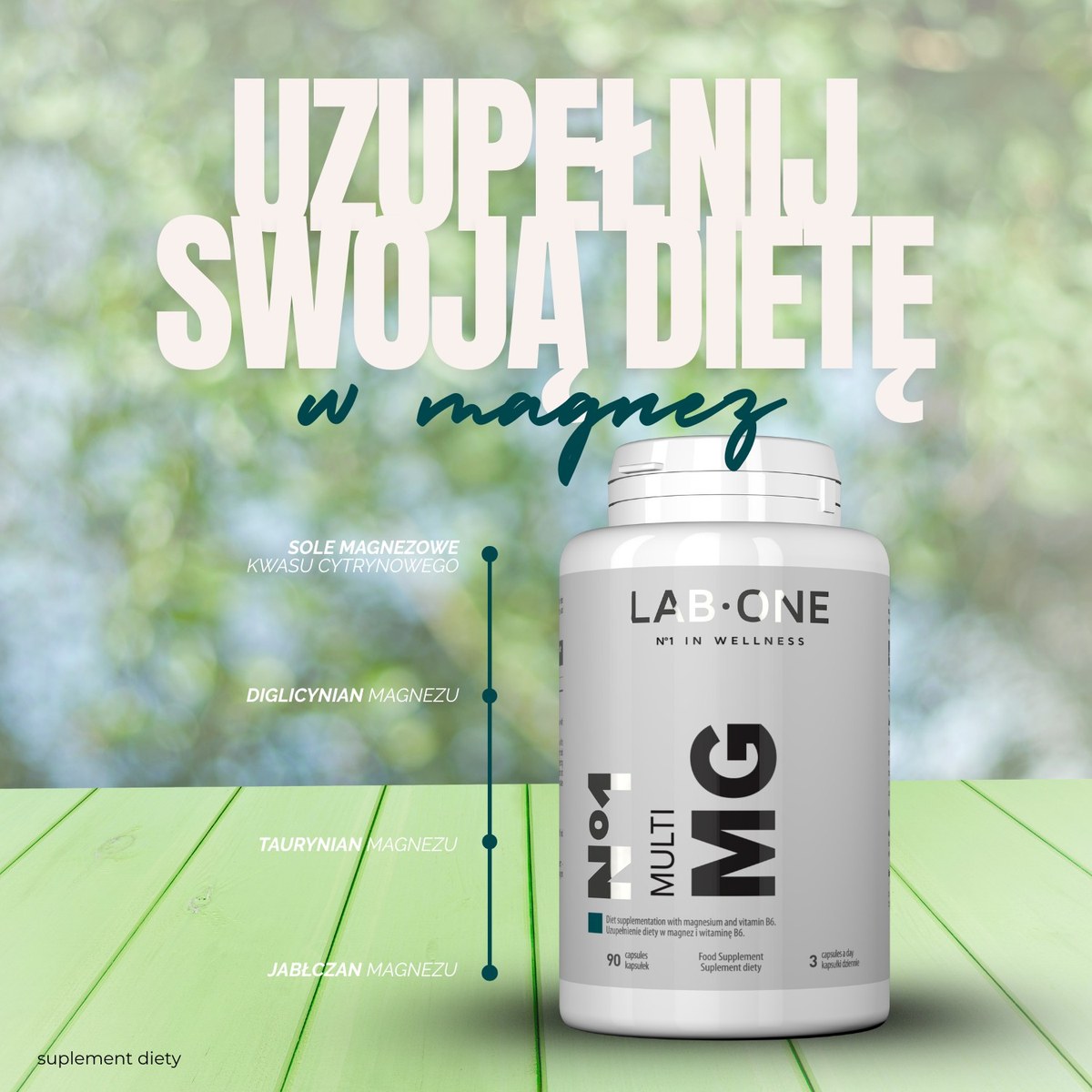 Lab-One Multi MG, infografika