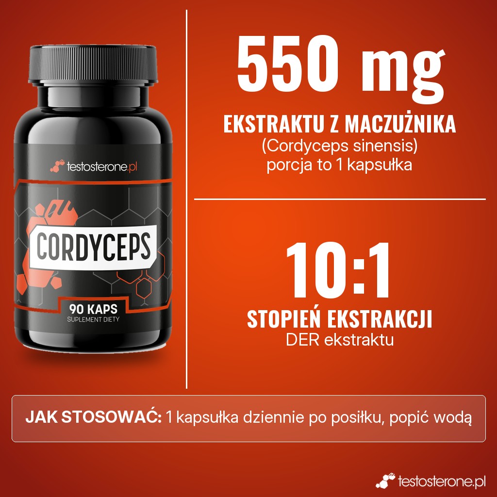 Testosterone.pl Cordyceps: 550 mg ekstraktu z maczużnika chińskiego w 1 kapsułce, DER 10:1