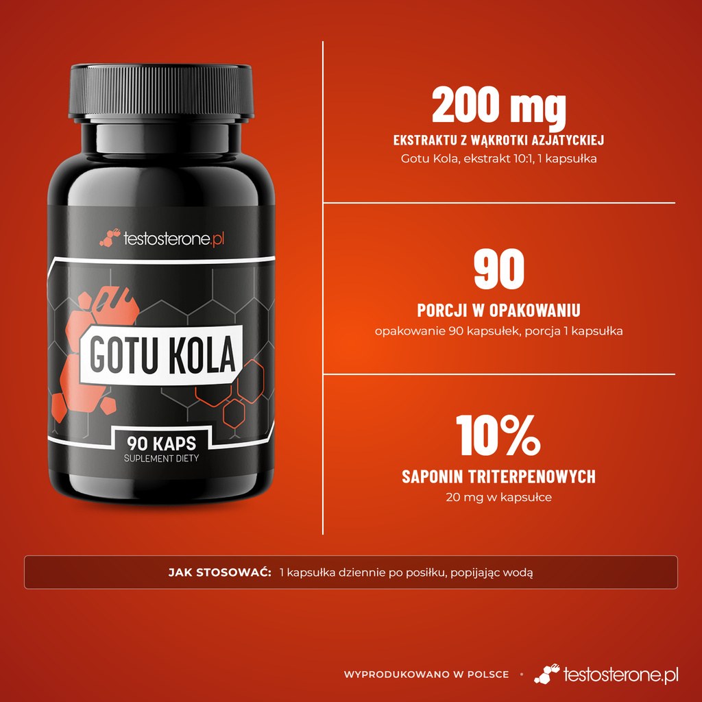 Testosterone.pl Gotu Kola, 90 kapsułek: 200 mg ekstraktu z wąkrotki azjatyckiej (10% saponin triterpenowych, 20 mg) w kapsułce, 90 porcji