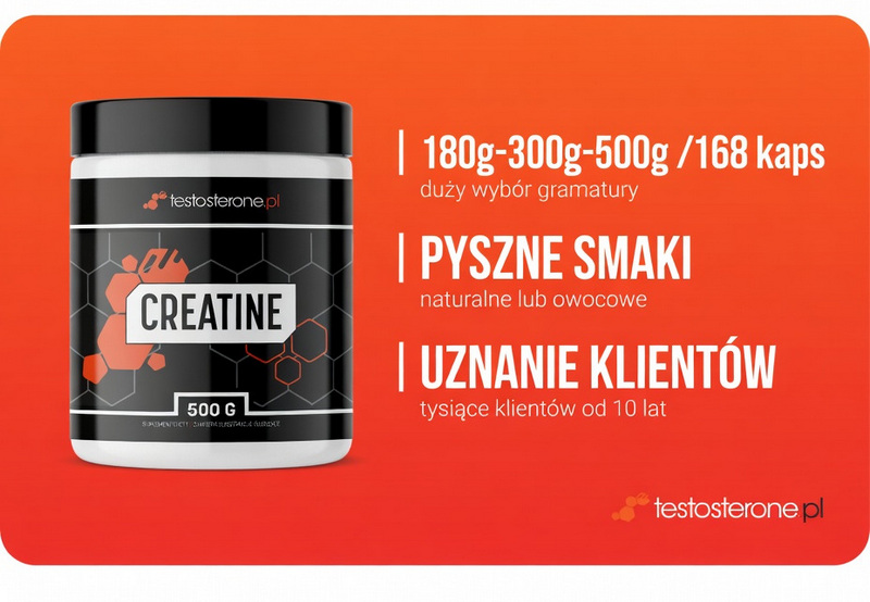 Testosterone.pl Creatine, kreatyna monohydrat