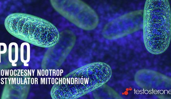 PQQ – nowoczesny nootrop i stymulator mitochondriów