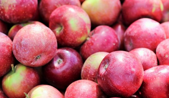 Dieta Jabłkowa – zasady i efekty!