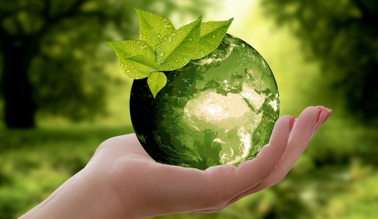 Ekologia – jak mniej śmiecić. Less waste a zdrowy styl życia