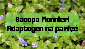 Bacopa monnieri – adaptogen na pamięć