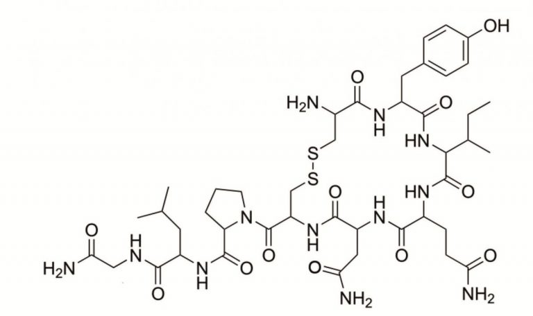 Oksytocyna Kompendium Wiedzy Testosterone Wiedza