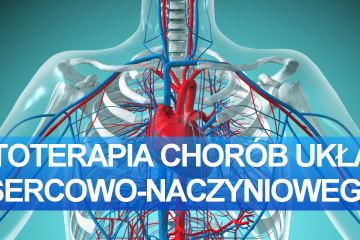 Choroby sercowo-naczyniowe – dieta/dietoterapia