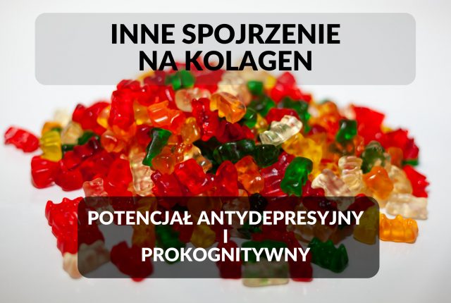 Kolagen – właściwości antydepresyjne i prokognitywne