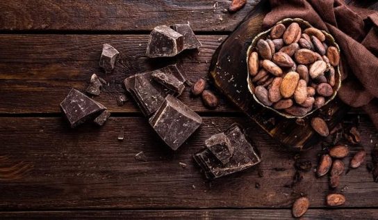 Kakao – właściwości zdrowotne (kakaowiec)