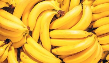 Wszystko co należy wiedzieć o bananach