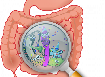 Mikrobiota a układ nerwowy