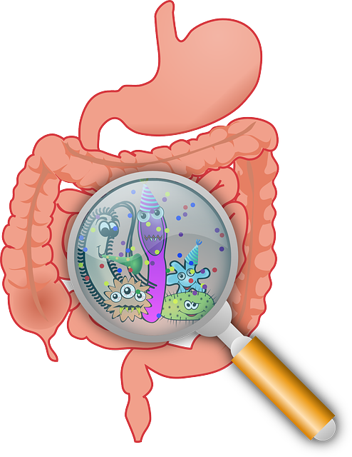 Mikrobiota a układ nerwowy