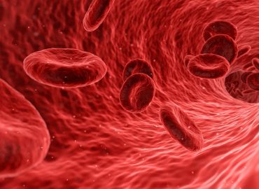 Badania krwi – choroby oraz technologie
